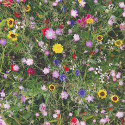 Trixie Leinenoptik Blumenwiese Fotodruck